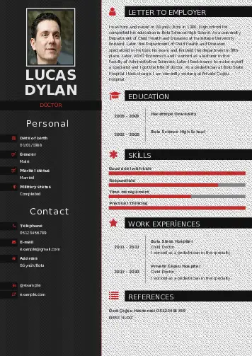 Doctor resume example